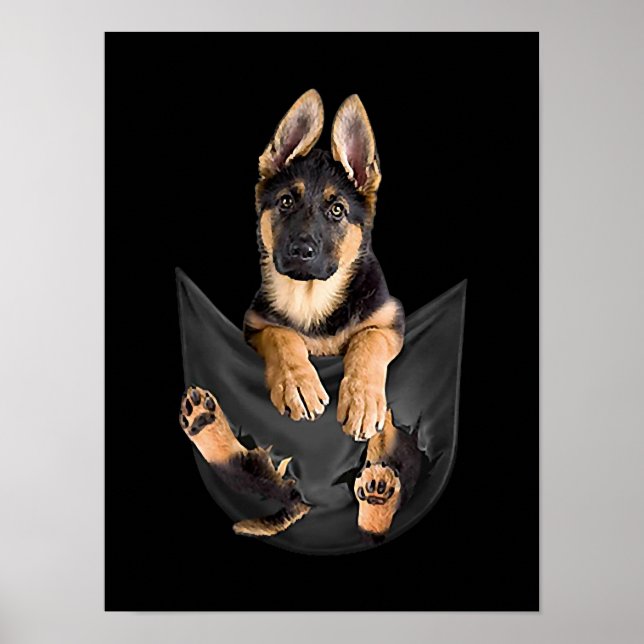 Poster German shepherd No Sopro De Cachorro Engraçado De  (Frente)