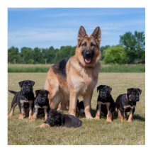 German shepherd personalizável com uppies adaptáve