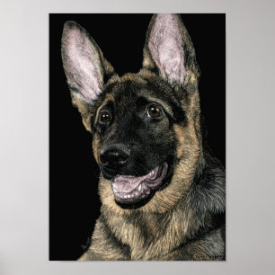 Poster German shepherd - Poster/Impressão - "Rommel"
