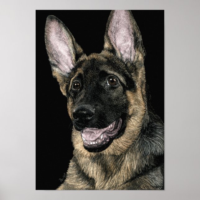 Poster German shepherd - Poster/Impressão - "Rommel" (Frente)