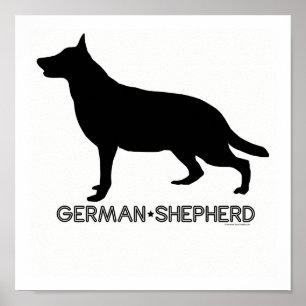 Poster German Shepherd Print