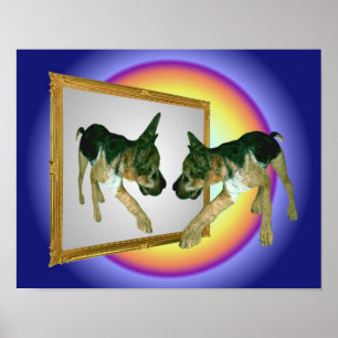 Pôster German shepherd Puppy In Mirror