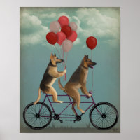 German shepherd Tandem
