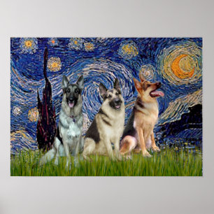 Pôster German shepherd três - Noite estelar