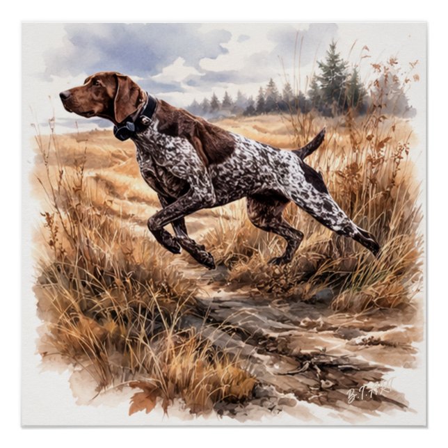 Pôster  German Shorthaired Pointer  (Frente)