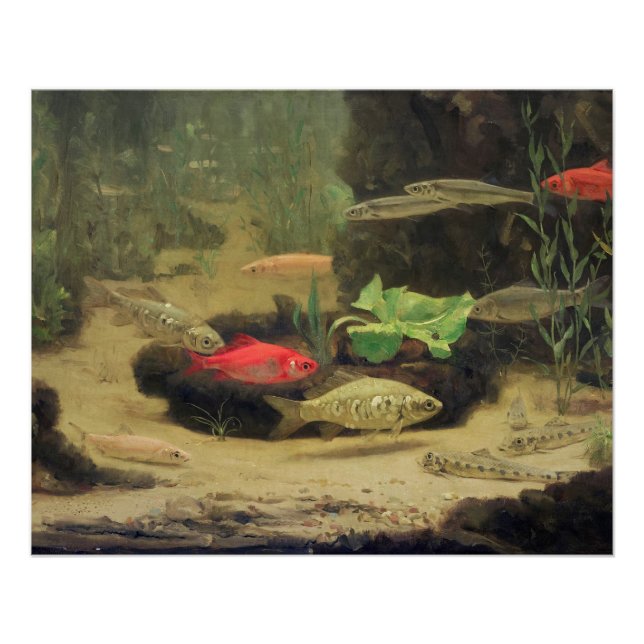 Pôster Gerrit Willem Dijsselhof - Dourado/Silverfish Glos (Frente)