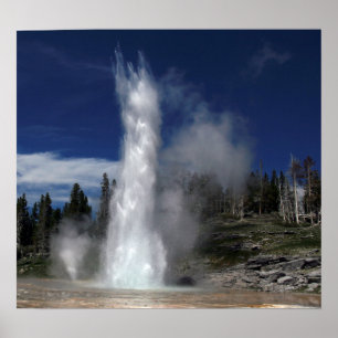 Pôster Geyser grande e geyser do respiradouro em