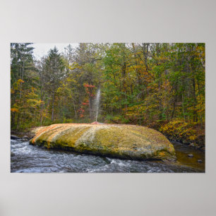 Poster Geyser Island Spouter, Primaveras Saratoga, Nova I