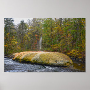 Poster Geyser Island Spouter, Primaveras Saratoga, Nova I
