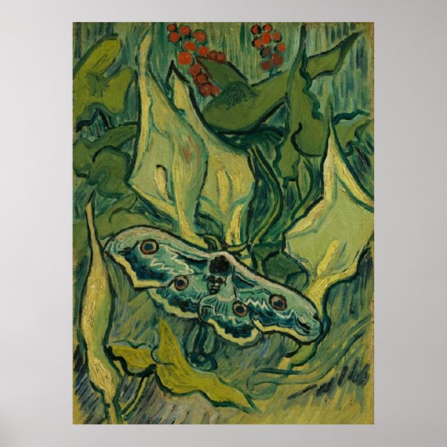 Poster Giant Peacock Moth Vincent van Gogh 1889 (Frente)
