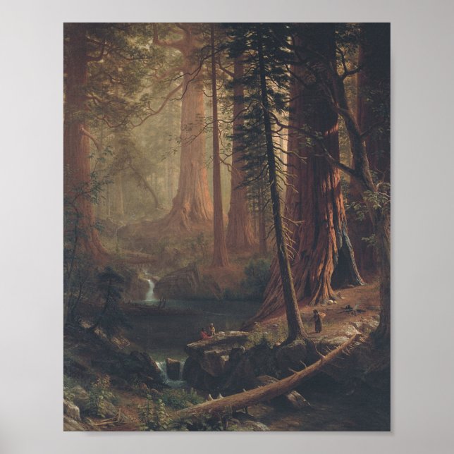 Pôster Giant Redwoods por Albert Bierstadt (Frente)