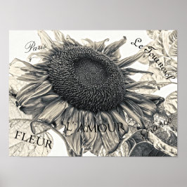 Poster Giant Sunflowers Vintage Sepia Decoupage Ephemera