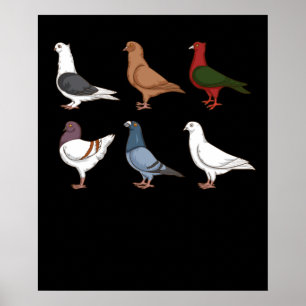 Poster Gift Men Pigeon Racing Pigeon