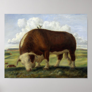 Poster Gigante Bull