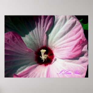 Poster gigante do hibiscus