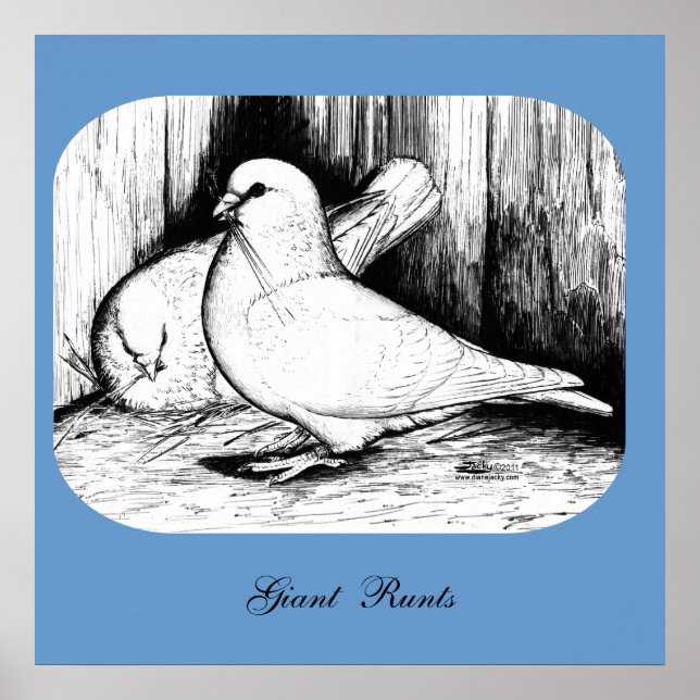 Pôster Gigante Runt Pigeons (Frente)