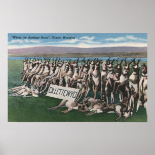 Poster Gillette, WY - onde o antílope vagueia