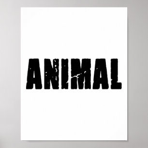 Poster Ginásio Animal Coelho Treino Musculação Fitness F0