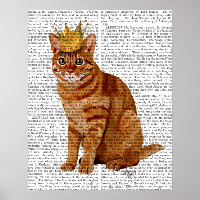 Poster Ginger Cat com Cheio Coroa (Frente)
