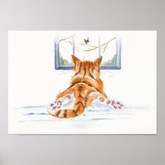 Poster Ginger Cats / gatinhos: "Comprando janela"