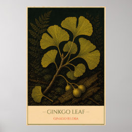 Poster Ginkgo Leaf – Vintage Botanical Illustration