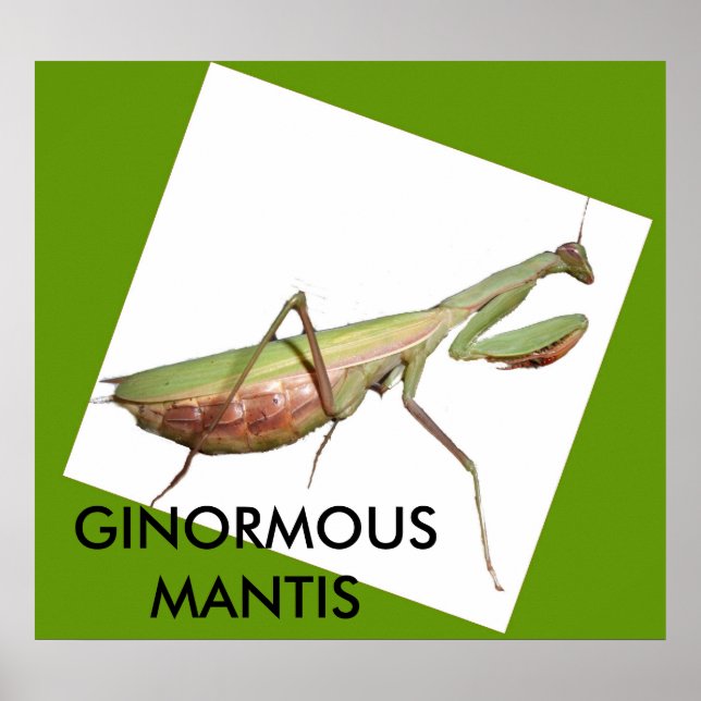 PÔSTER GINORMOUS MANTIS (Frente)