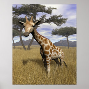 Poster Girafa