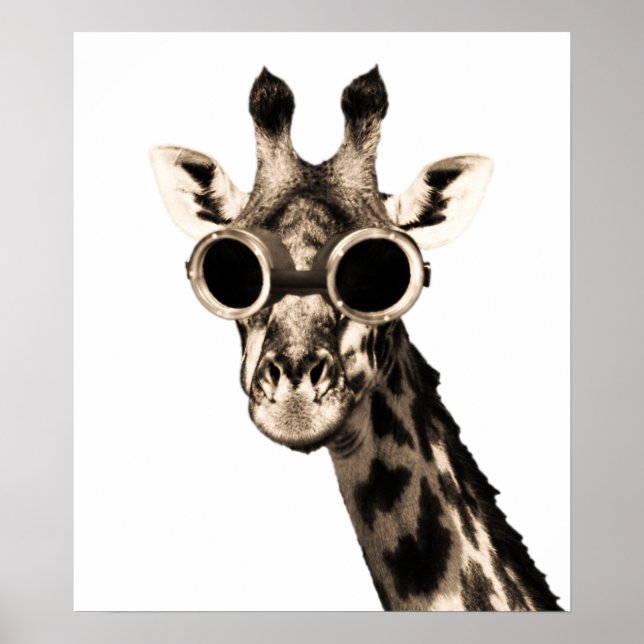 Pôster Girafa com óculos de sol Steampunk (Frente)