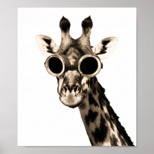 Pôster Girafa com os óculos de proteção dos óculos de
