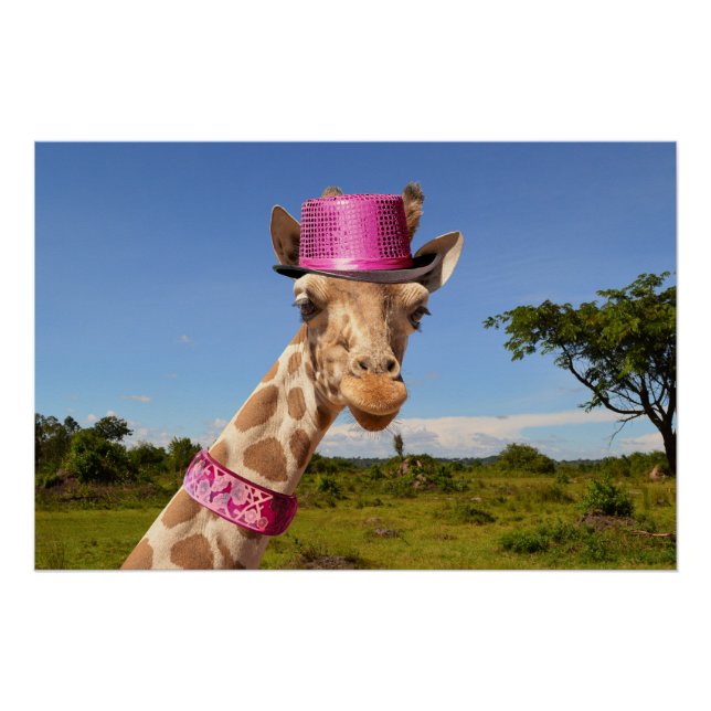 Pôster Girafa de chapéu cor-de-rosa brilhante (Frente)