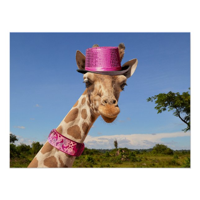 Pôster Girafa de chapéu cor-de-rosa brilhante (Frente)