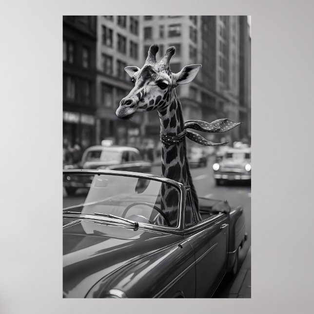 Poster Girafa de Nova York (Frente)