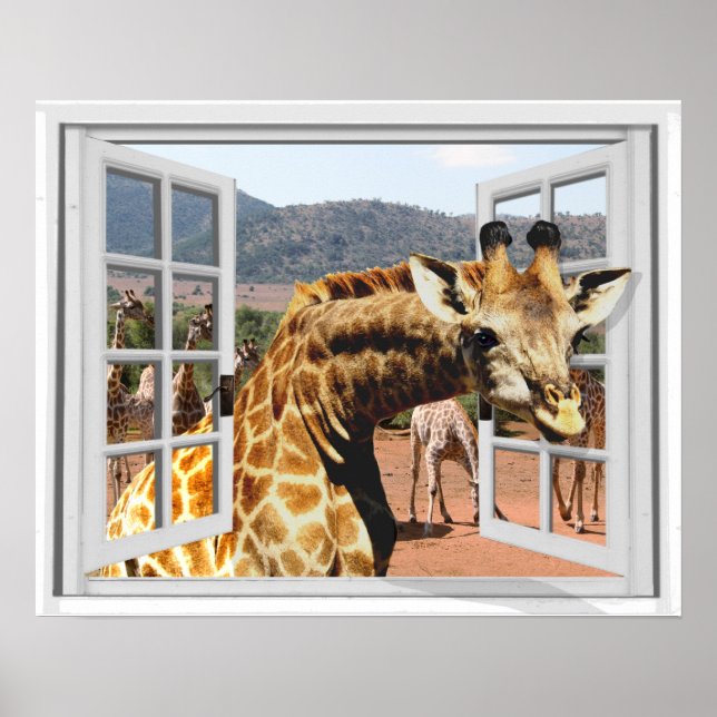 Pôster Girafa em Falso visão de janela Trompe l'oeil Efei (Frente)