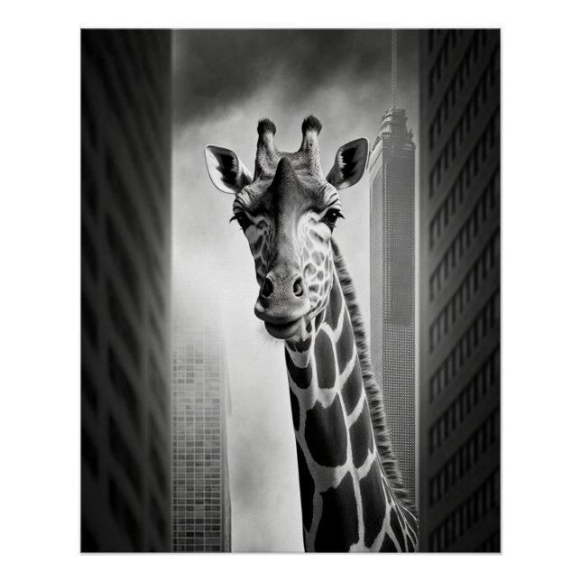 Pôster Girafa em uma paisagem urbana (Frente)