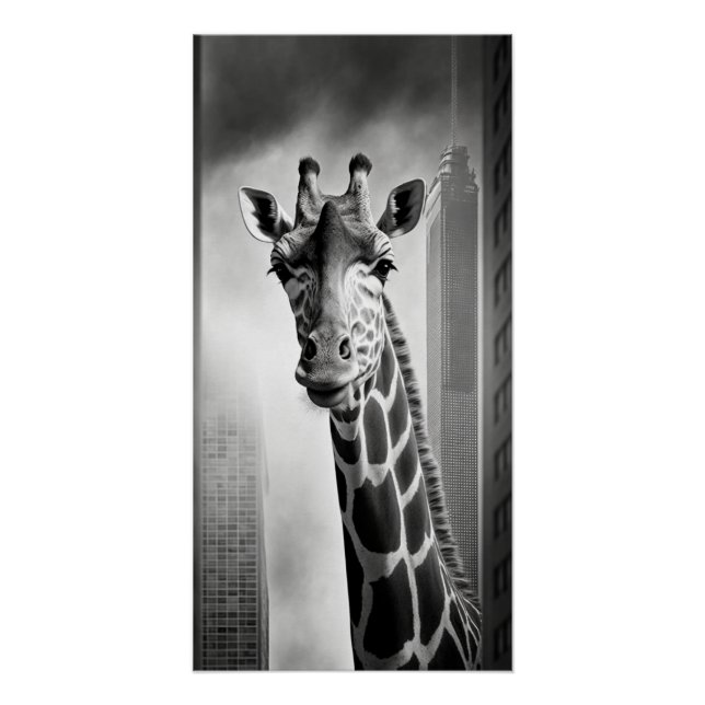Pôster Girafa em uma paisagem urbana (Frente)
