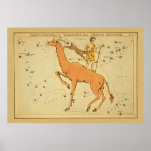 Poster Girafa - imagem astronômica da carta de estrela d