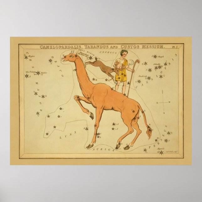Poster Girafa - Imagem do Gráfico Astronômico de Estrelas (Frente)