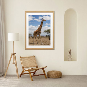 Pôster Girafa Majestosa Caminhando pela Savana Africana