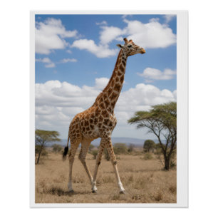 Pôster Girafa Majestosa Caminhando pela Savana Africana