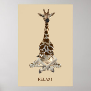 Pôster Girafa Meditating