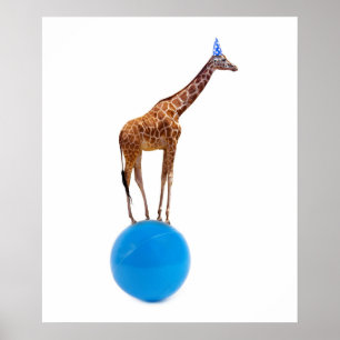 Poster Girafa na bola
