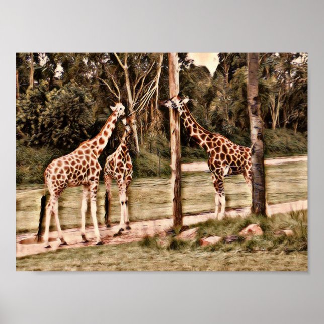 Poster Girafas (Frente)