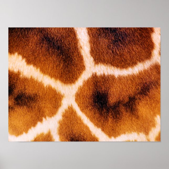 PÔSTER GIRAFAS (Frente)