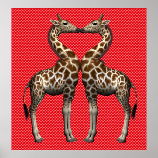 Pôster Girafas Apaixonadas (Frente)