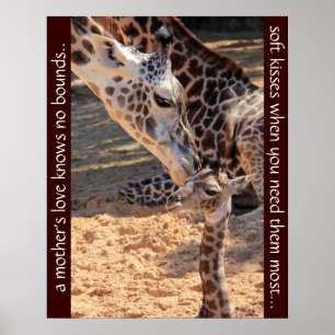 Pôster Girafas doces; o amor de uma mãe não conhece limit