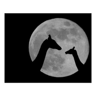 Pôster Girafas na Noite de Lua Cheia