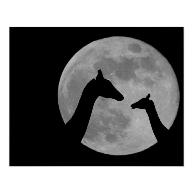 Pôster Girafas na Noite de Lua Cheia (Frente)