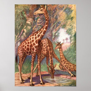 Poster Girafas por Louis Sargent, Animais Africanos Vinta