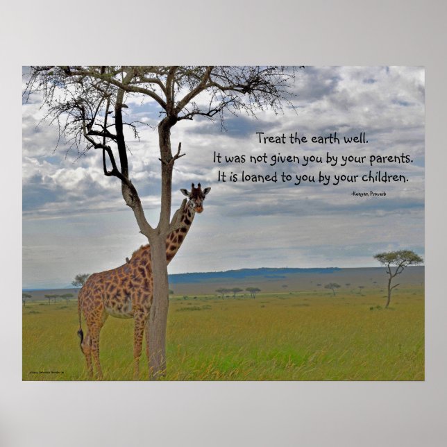 Poster Giraffe Masai Mara , Proverb Queniano (Frente)
