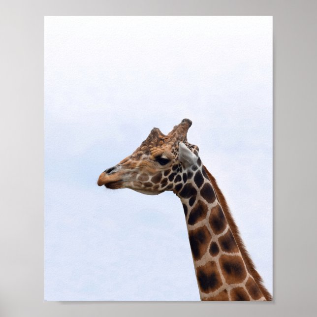 Poster Giraffe Portrait Foto 106 (Frente)